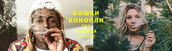 прущие грибы Баксан