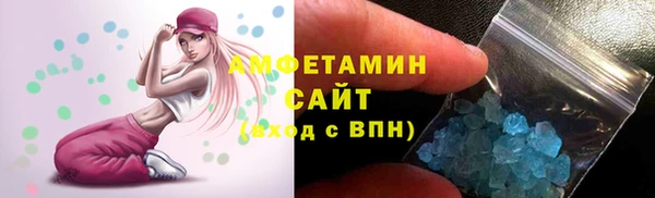 прущие грибы Баксан