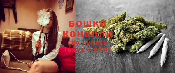прущие грибы Баксан