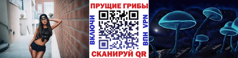 Галлюциногенные грибы Magic Shrooms  где найти наркотики  Мариинский Посад 